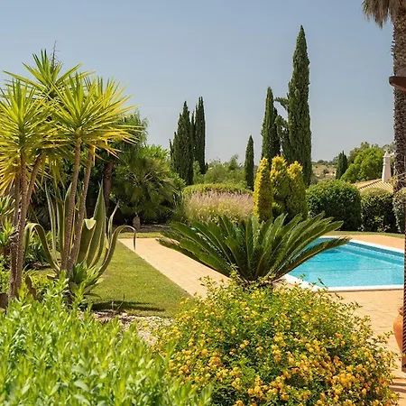 174 Gramacho - Immaculately Presented Estômbar